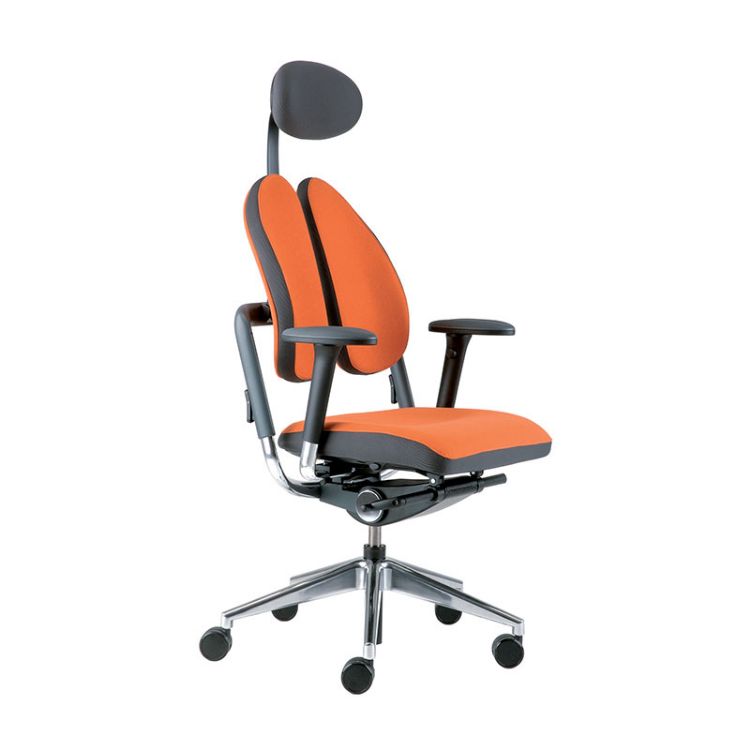Picture of Ergonomski pisarniški stol XDB Duo-Back