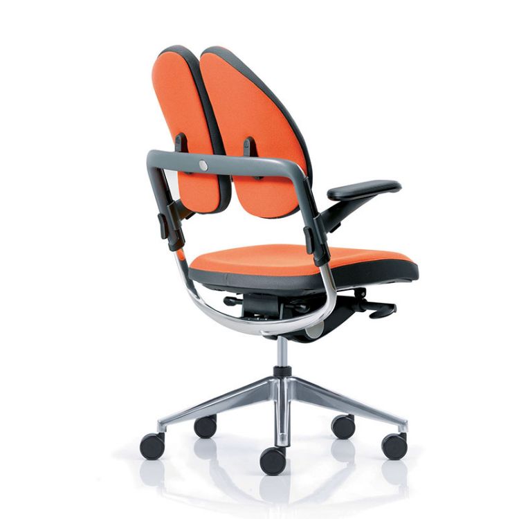 Picture of Ergonomski pisarniški stol XDB Duo-Back