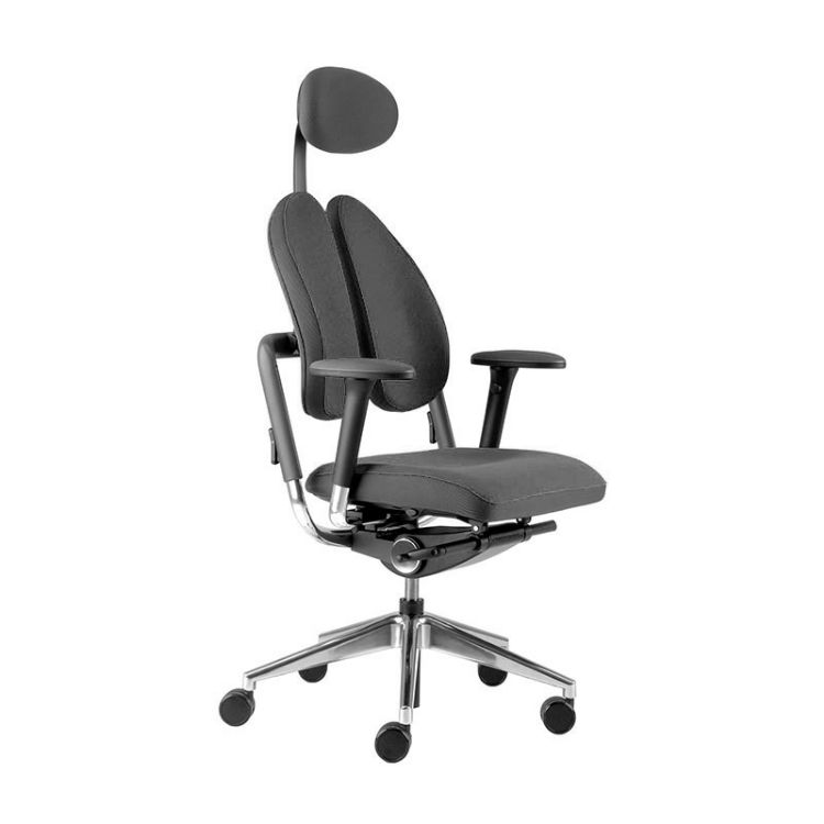 Picture of Ergonomski pisarniški stol XDB Duo-Back