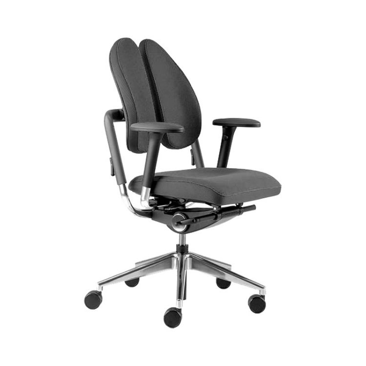 Picture of Ergonomski pisarniški stol XDB Duo-Back